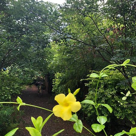 Evergreen Villa Nature Resort Anuradhapura Esterno foto