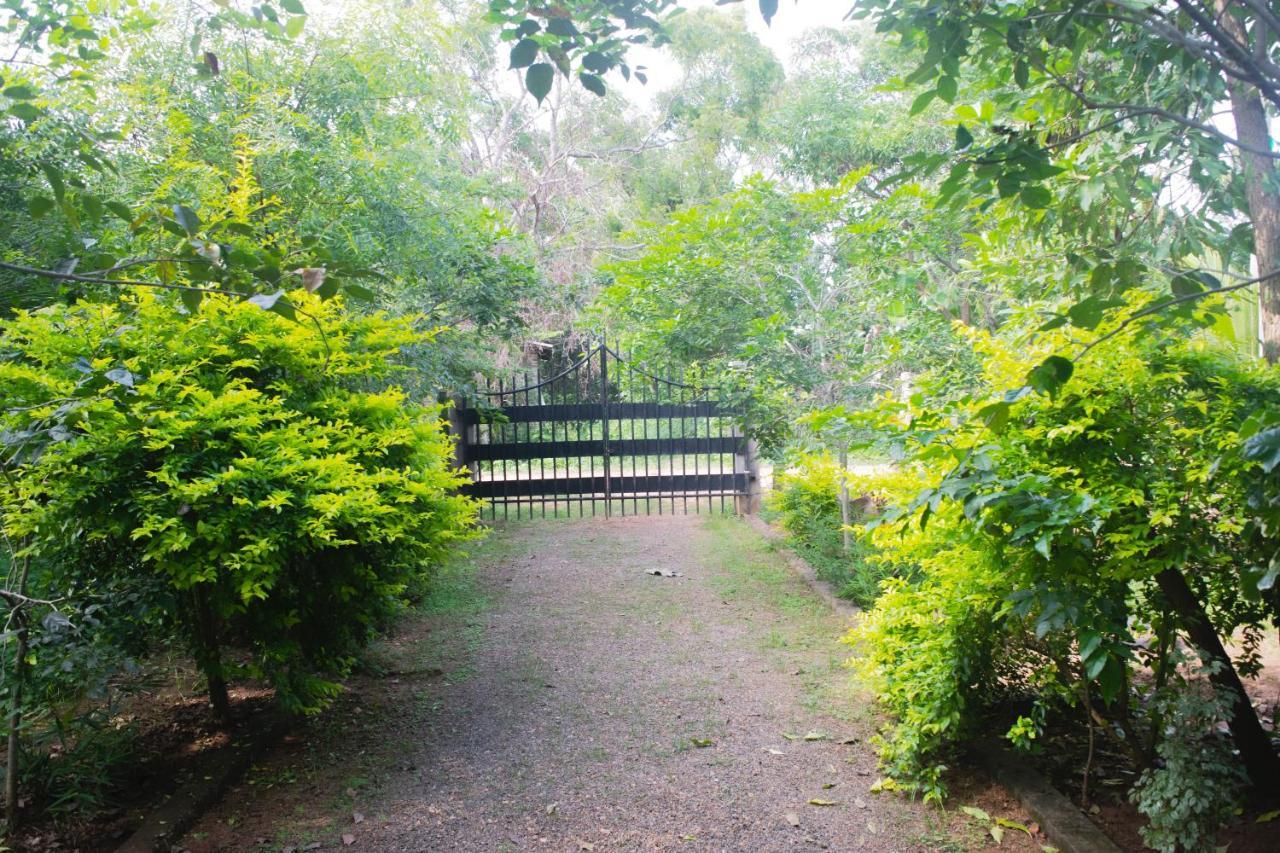 Evergreen Villa Nature Resort Anuradhapura Esterno foto