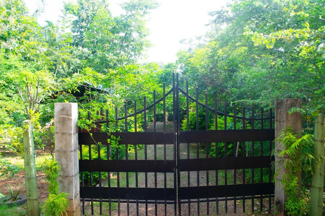 Evergreen Villa Nature Resort Anuradhapura Esterno foto