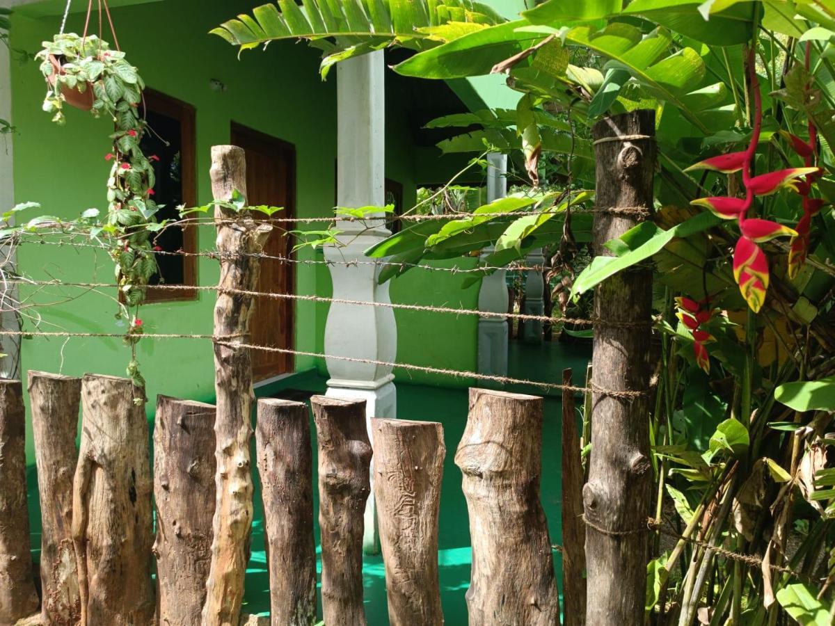 Evergreen Villa Nature Resort Anuradhapura Esterno foto