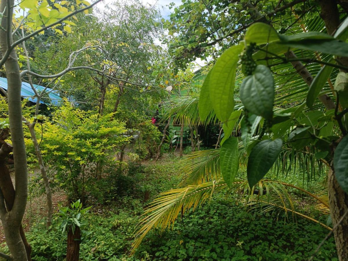 Evergreen Villa Nature Resort Anuradhapura Esterno foto
