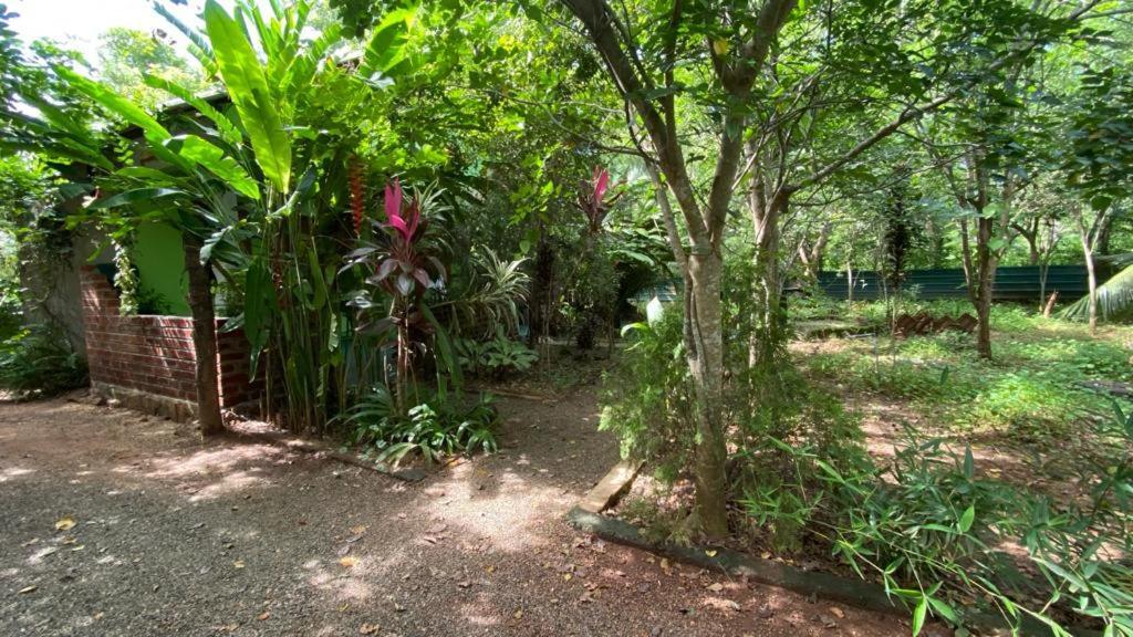 Evergreen Villa Nature Resort Anuradhapura Esterno foto