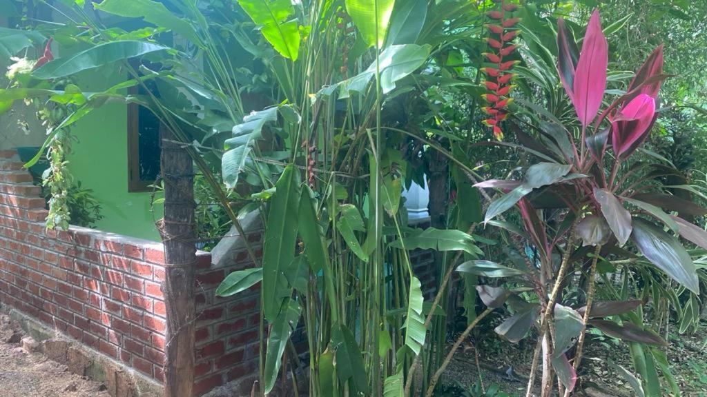 Evergreen Villa Nature Resort Anuradhapura Esterno foto