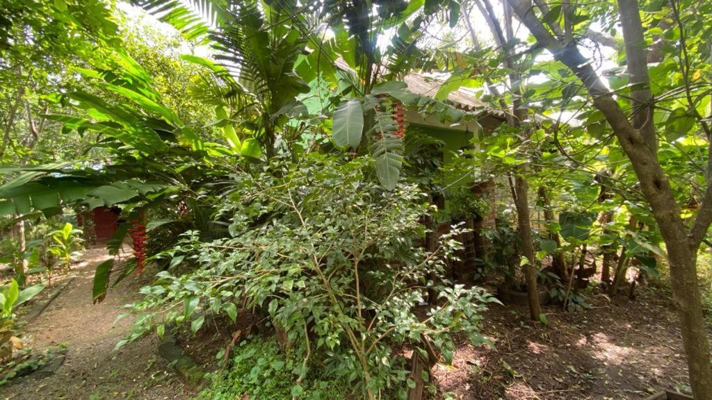 Evergreen Villa Nature Resort Anuradhapura Esterno foto