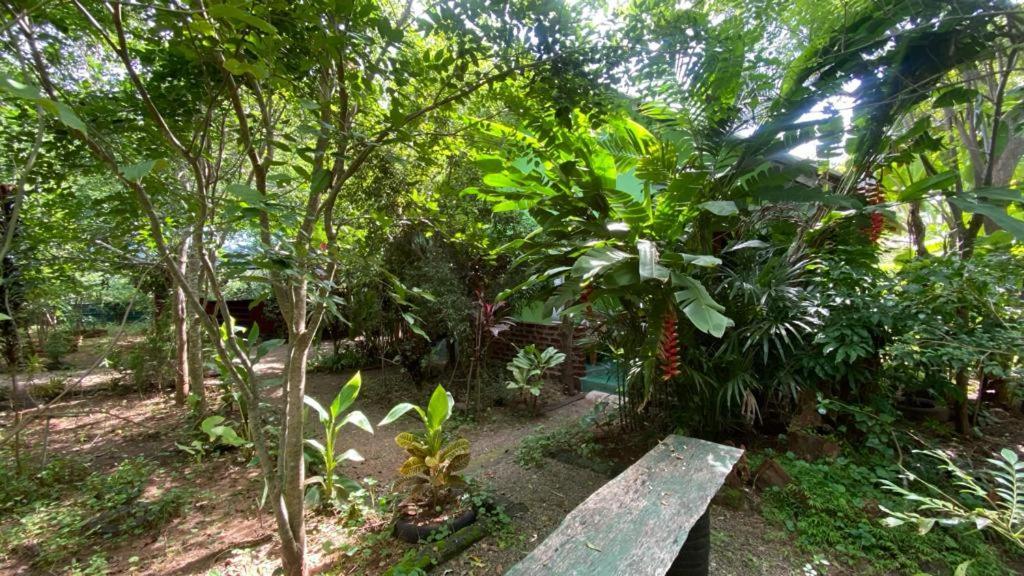 Evergreen Villa Nature Resort Anuradhapura Esterno foto