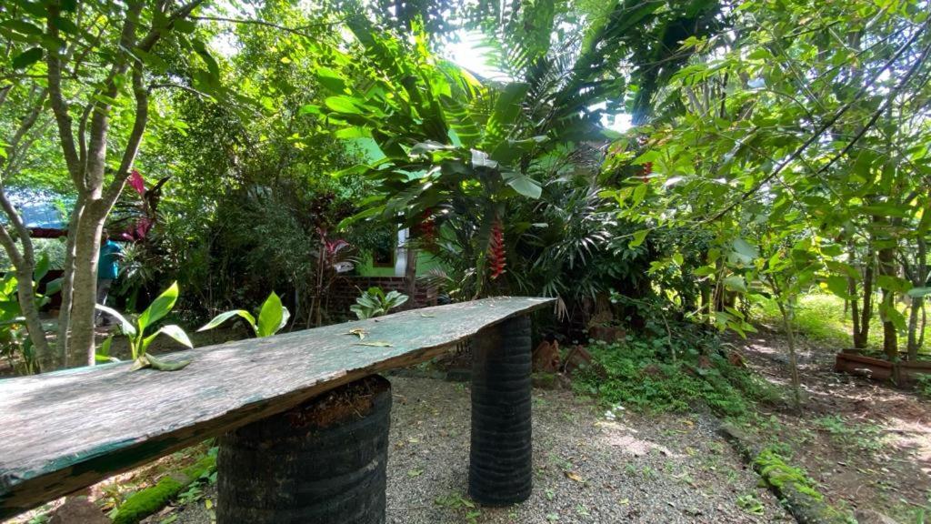 Evergreen Villa Nature Resort Anuradhapura Esterno foto