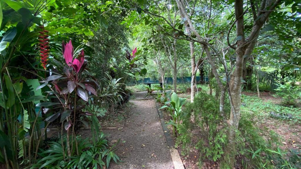 Evergreen Villa Nature Resort Anuradhapura Esterno foto