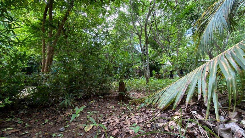 Evergreen Villa Nature Resort Anuradhapura Esterno foto