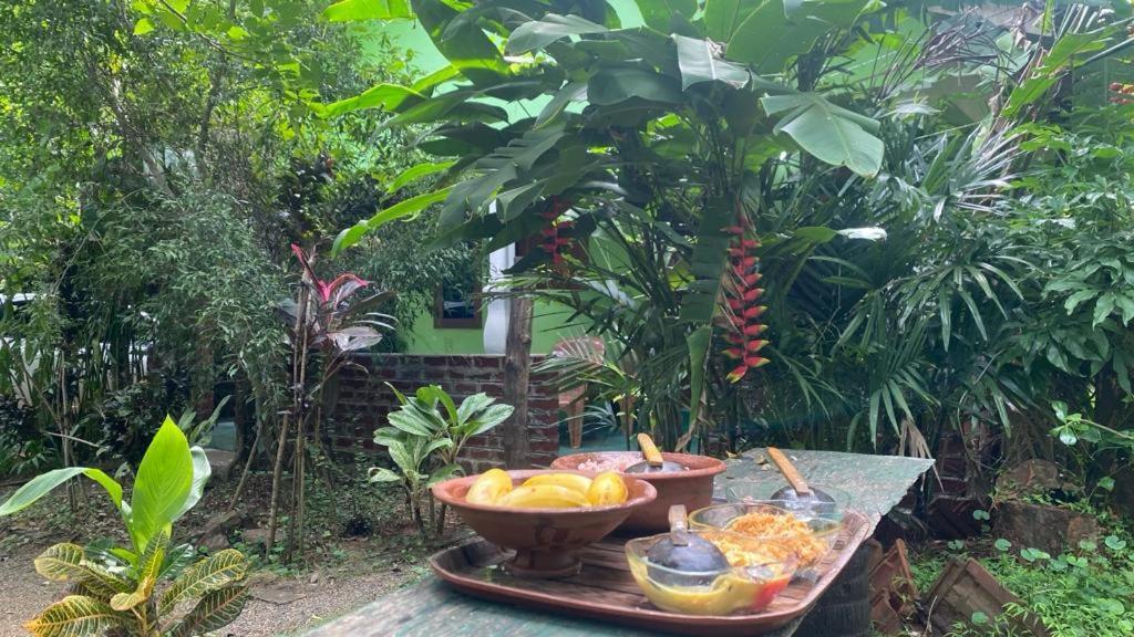 Evergreen Villa Nature Resort Anuradhapura Esterno foto