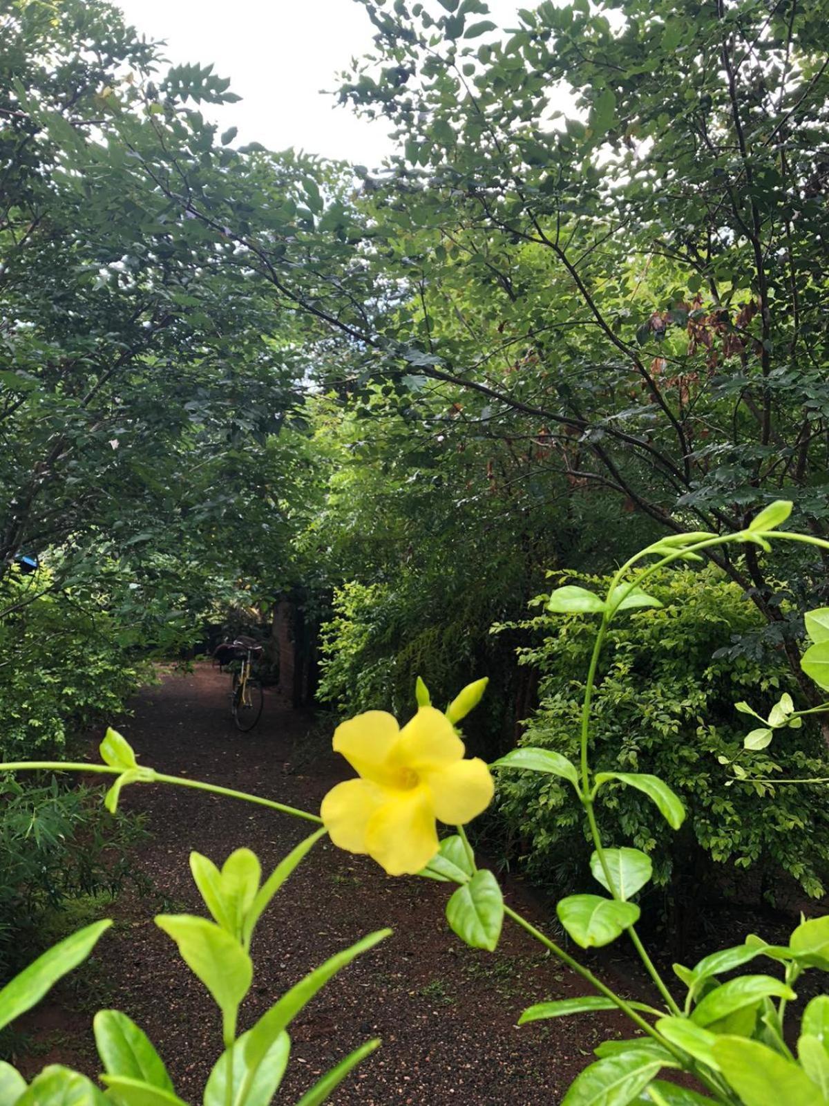 Evergreen Villa Nature Resort Anuradhapura Esterno foto