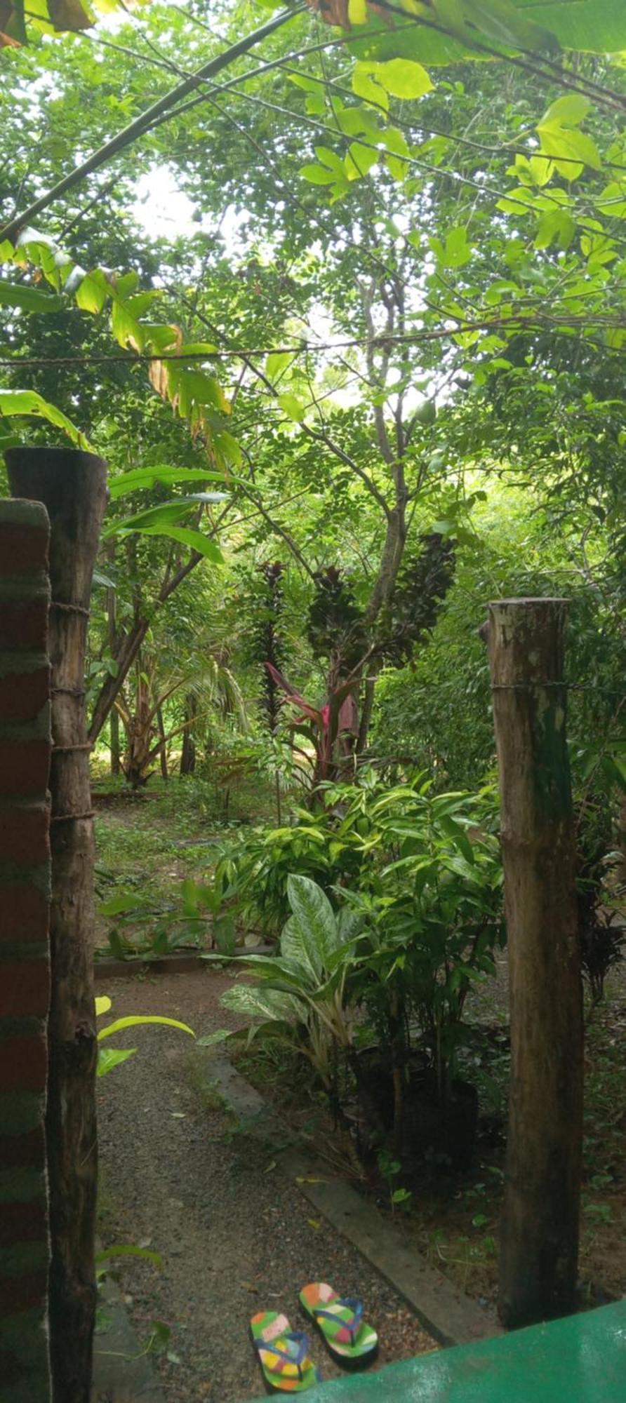 Evergreen Villa Nature Resort Anuradhapura Esterno foto