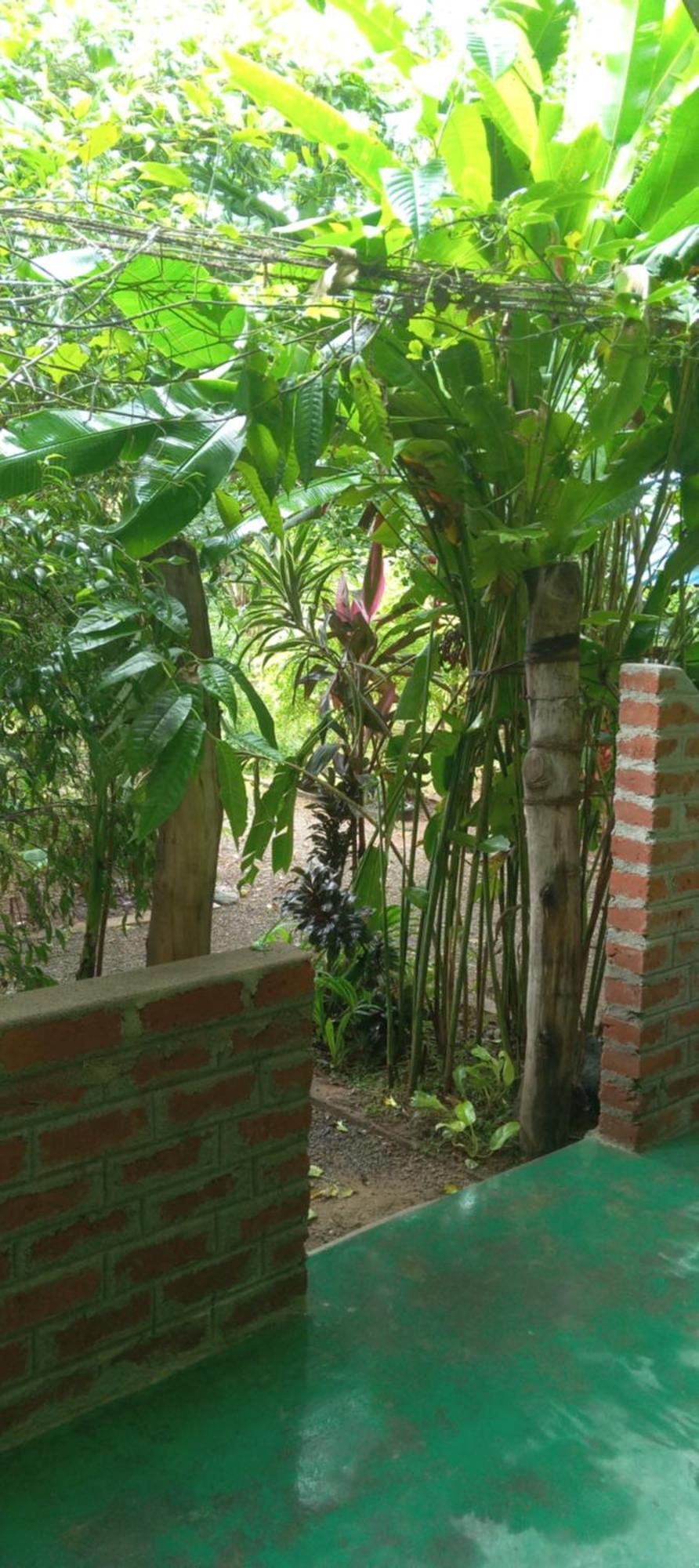 Evergreen Villa Nature Resort Anuradhapura Esterno foto