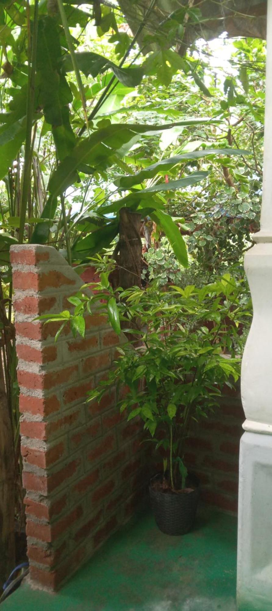 Evergreen Villa Nature Resort Anuradhapura Esterno foto