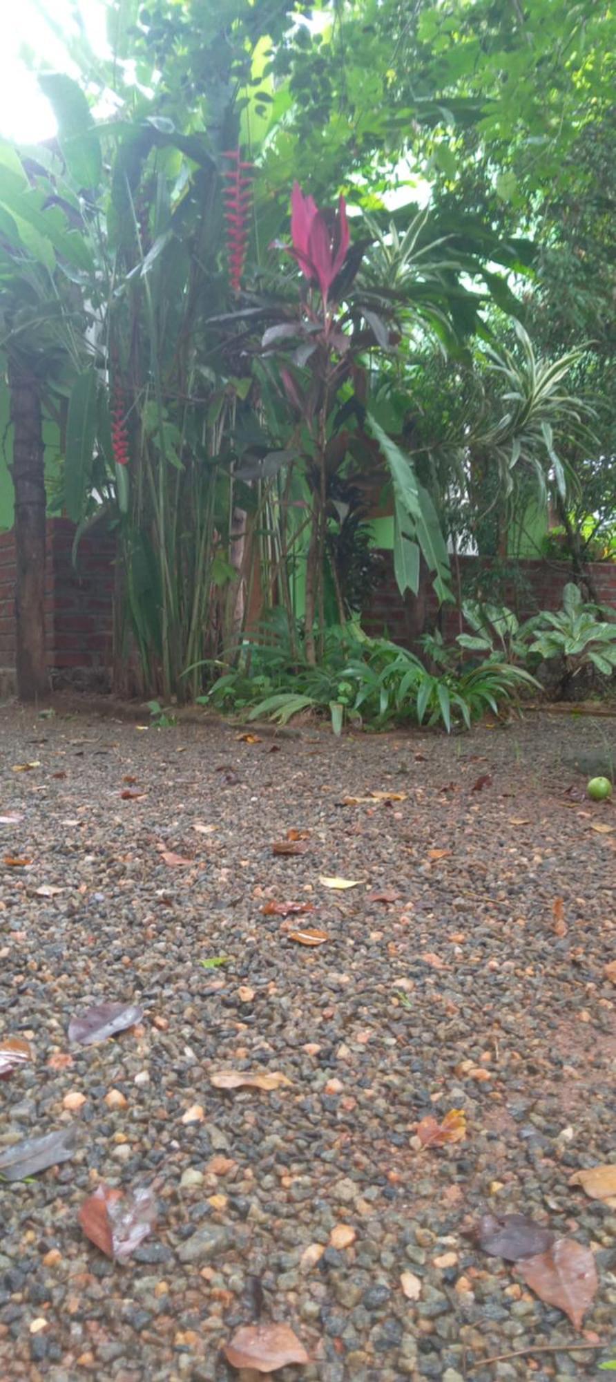 Evergreen Villa Nature Resort Anuradhapura Esterno foto