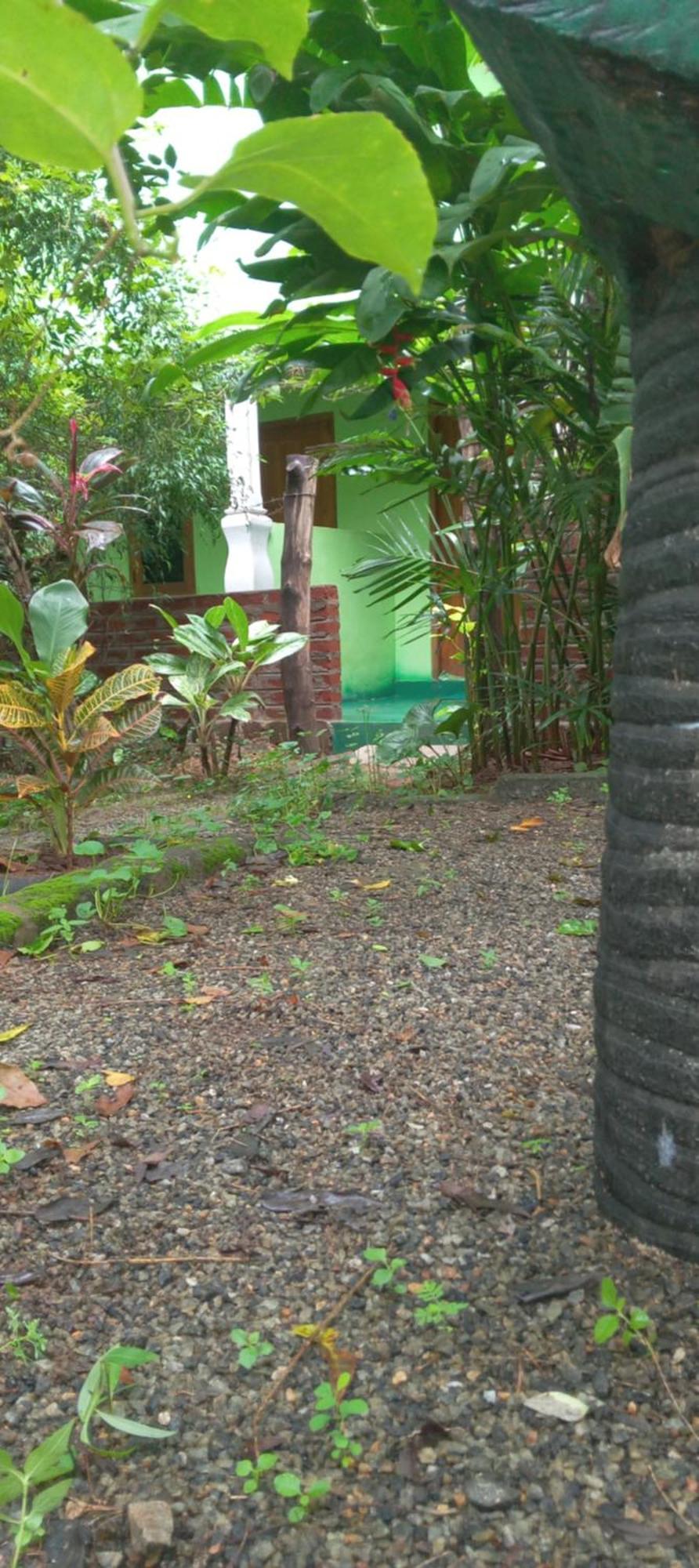 Evergreen Villa Nature Resort Anuradhapura Esterno foto