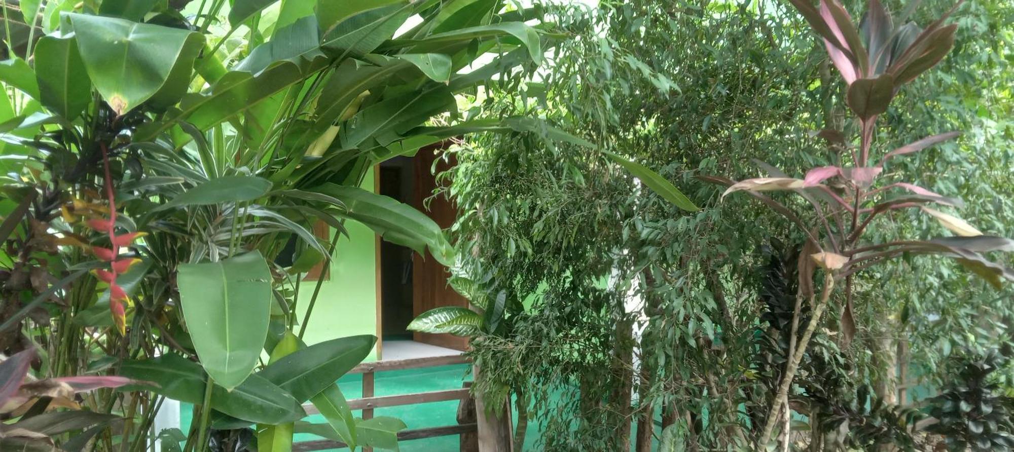 Evergreen Villa Nature Resort Anuradhapura Esterno foto