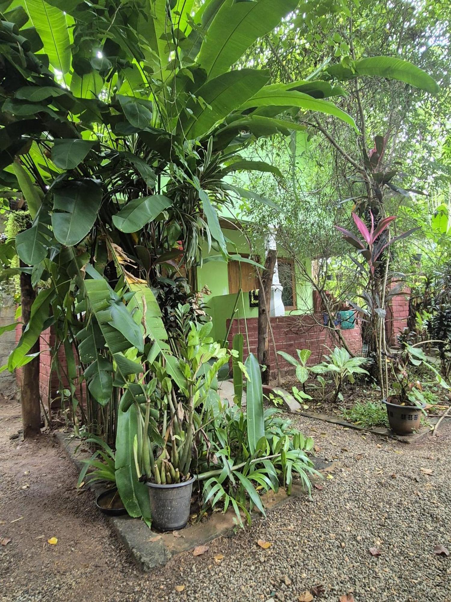 Evergreen Villa Nature Resort Anuradhapura Esterno foto