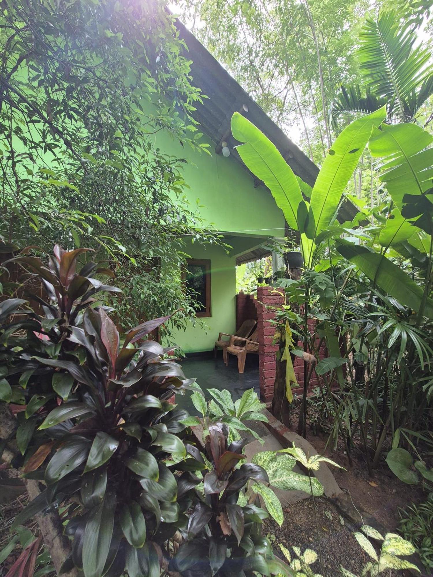 Evergreen Villa Nature Resort Anuradhapura Esterno foto